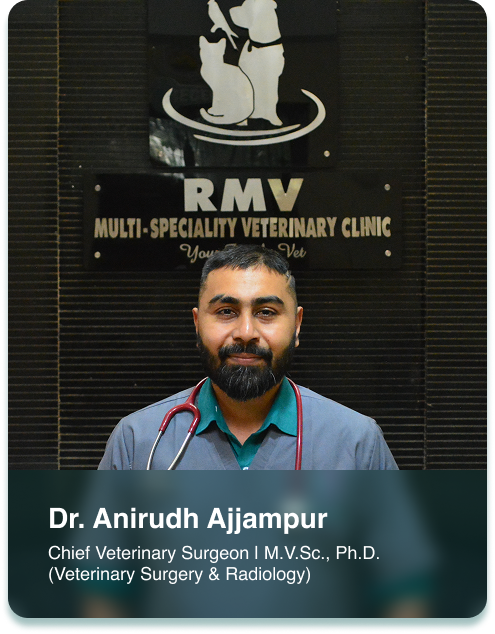 Dr. Anirudh Ajjampur